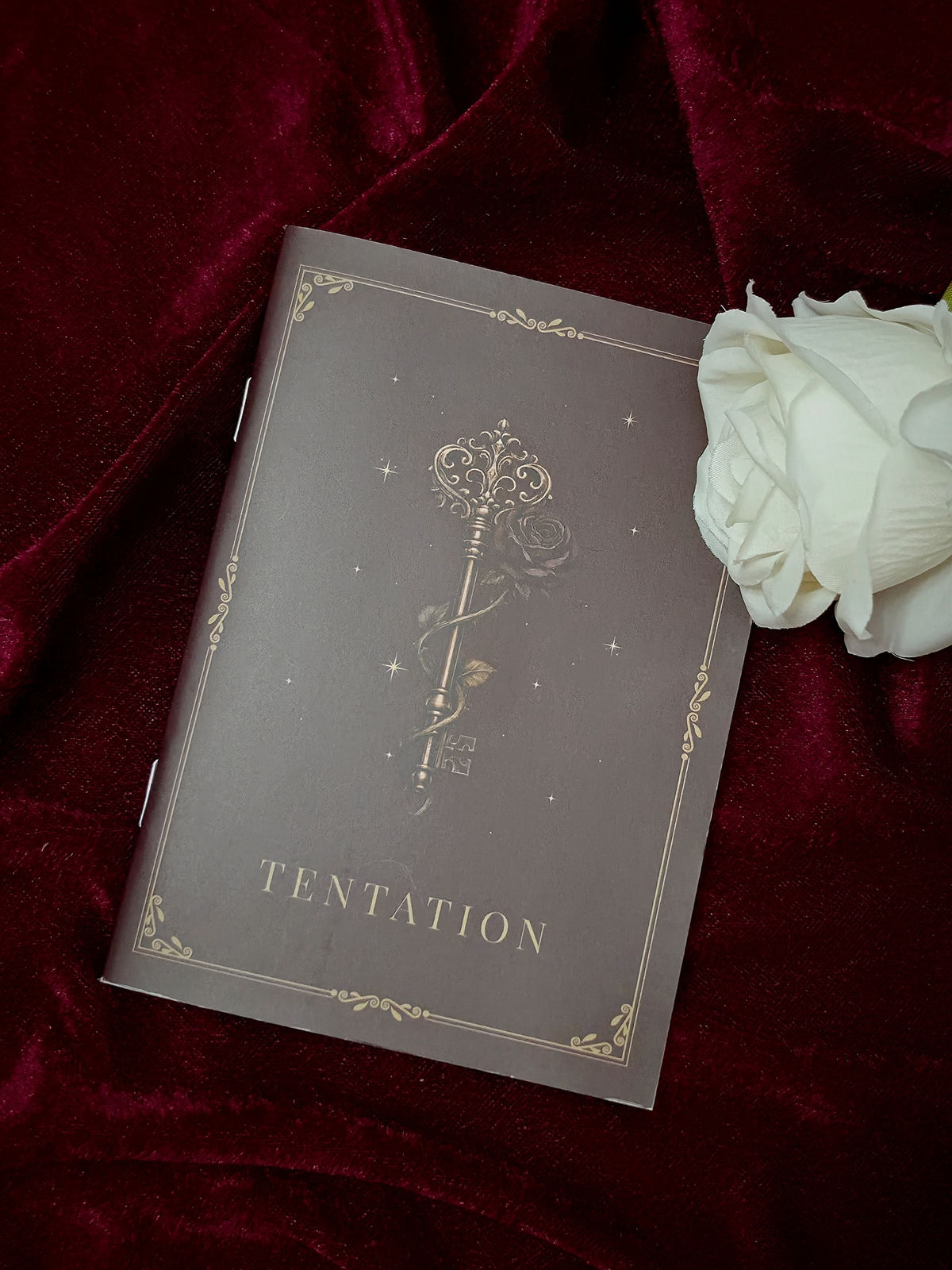 PRÉCOMMANDE Box TENTATION | Édition Papier "Romantasy"