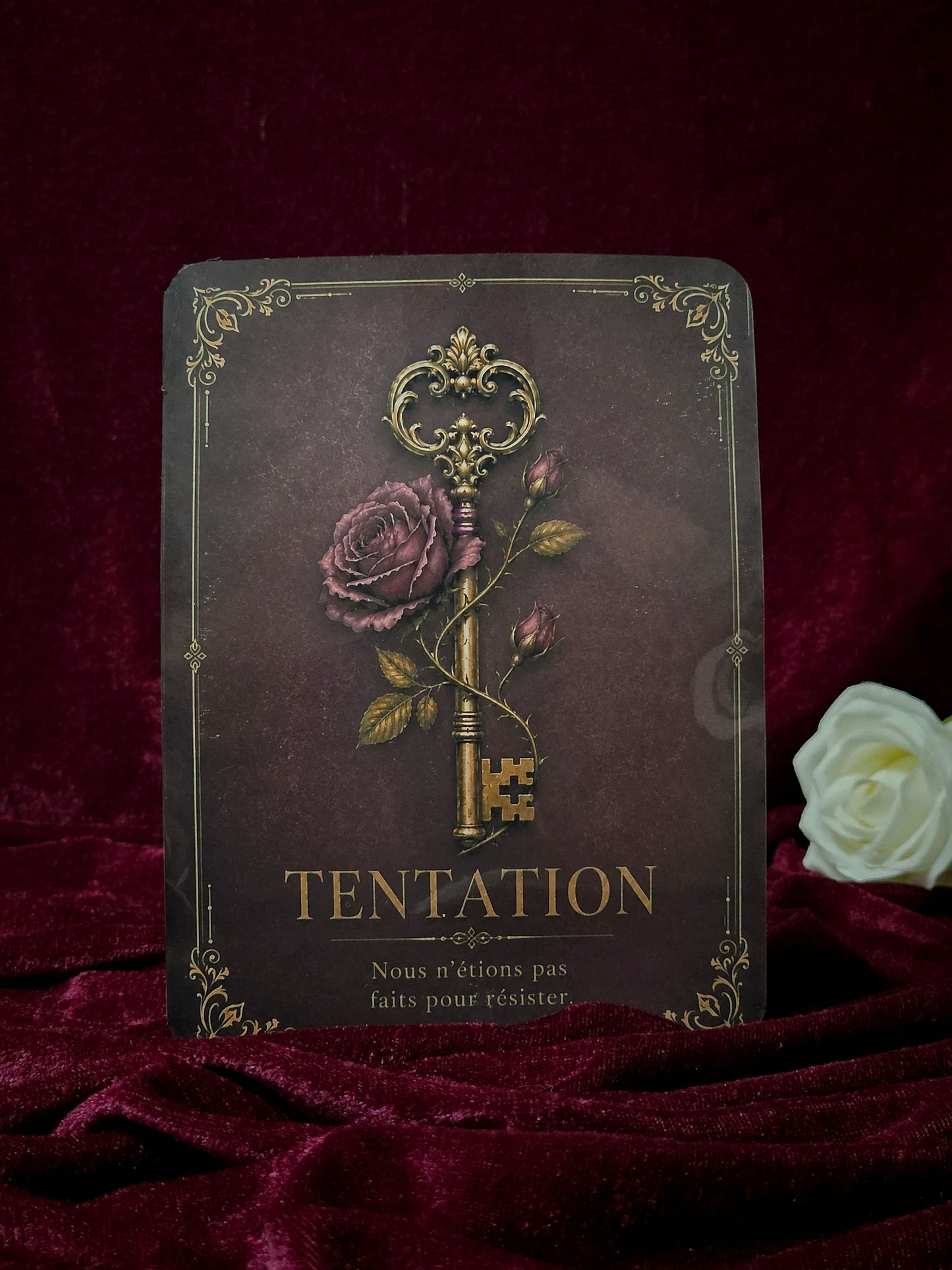 PRÉCOMMANDE Box TENTATION | Accessoires pour liseuse "Romantasy"