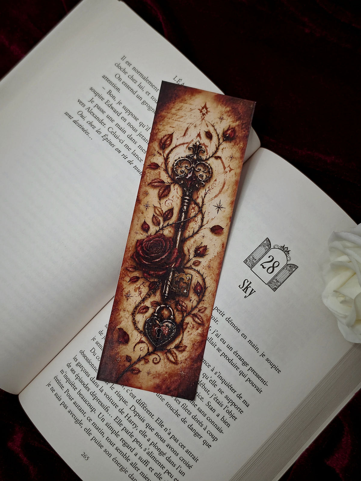 PRÉCOMMANDE Box TENTATION | Édition Papier "Romantasy"